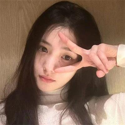 田凫 海报
